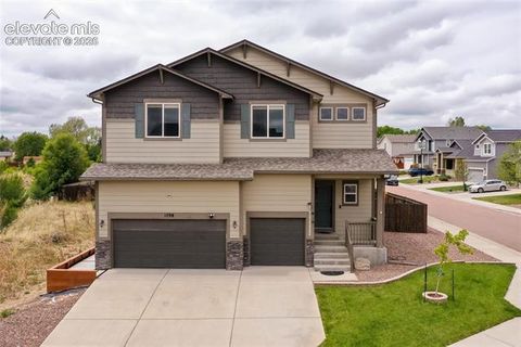 Photo of 1798 Bulrush Way, Colorado Springs, CO 80915 (MLS # 8570616)