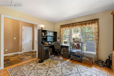 Tiny photo for 1563 Southpark Road, Florissant, CO 80816 (MLS # 2994628)