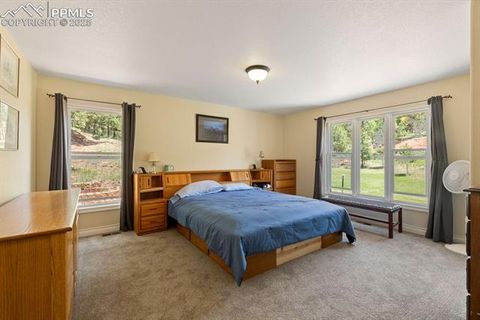 Tiny photo for 1563 Southpark Road, Florissant, CO 80816 (MLS # 2994628)
