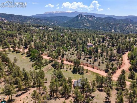 Tiny photo for 1563 Southpark Road, Florissant, CO 80816 (MLS # 2994628)