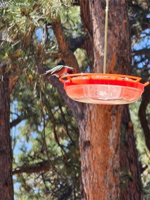 Tiny photo for 1563 Southpark Road, Florissant, CO 80816 (MLS # 2994628)