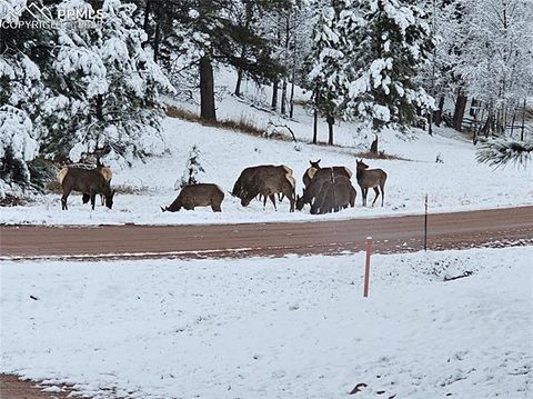 Tiny photo for 1563 Southpark Road, Florissant, CO 80816 (MLS # 2994628)