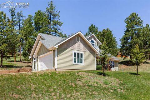 Tiny photo for 1563 Southpark Road, Florissant, CO 80816 (MLS # 2994628)