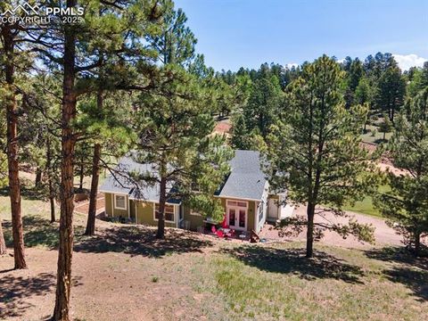Tiny photo for 1563 Southpark Road, Florissant, CO 80816 (MLS # 2994628)