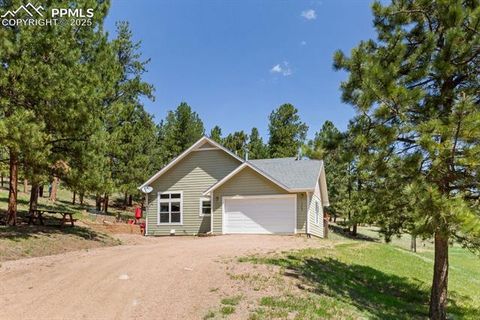 Photo of 1563 Southpark Road, Florissant, CO 80816 (MLS # 2994628)