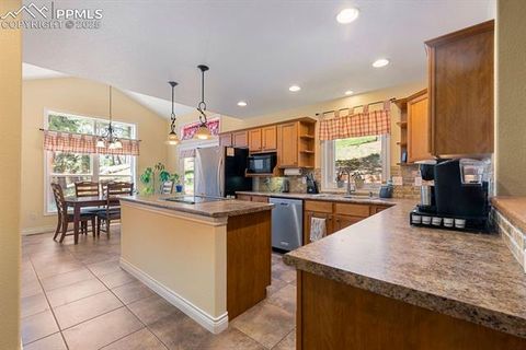 Tiny photo for 1563 Southpark Road, Florissant, CO 80816 (MLS # 2994628)