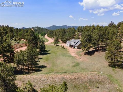 Tiny photo for 1563 Southpark Road, Florissant, CO 80816 (MLS # 2994628)