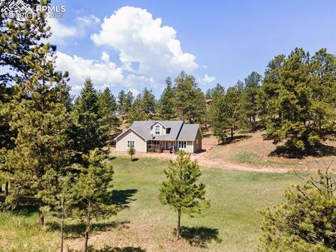 Tiny photo for 1563 Southpark Road, Florissant, CO 80816 (MLS # 2994628)
