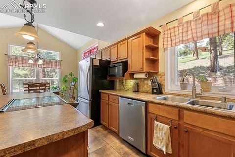 Tiny photo for 1563 Southpark Road, Florissant, CO 80816 (MLS # 2994628)