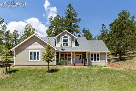Tiny photo for 1563 Southpark Road, Florissant, CO 80816 (MLS # 2994628)