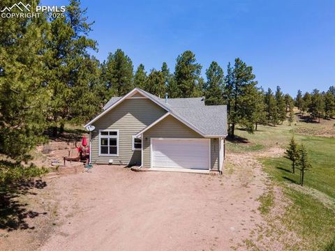 Tiny photo for 1563 Southpark Road, Florissant, CO 80816 (MLS # 2994628)