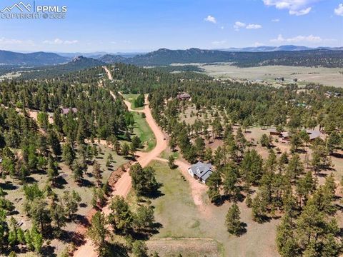 Tiny photo for 1563 Southpark Road, Florissant, CO 80816 (MLS # 2994628)