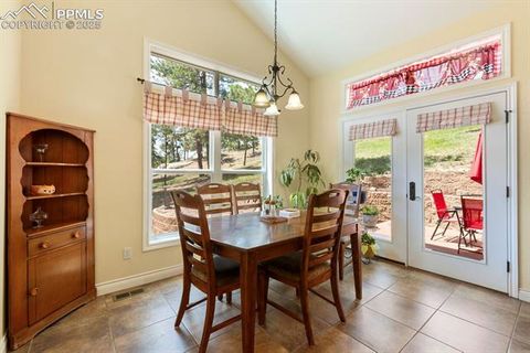Tiny photo for 1563 Southpark Road, Florissant, CO 80816 (MLS # 2994628)