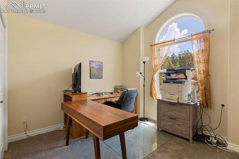 Tiny photo for 1563 Southpark Road, Florissant, CO 80816 (MLS # 2994628)