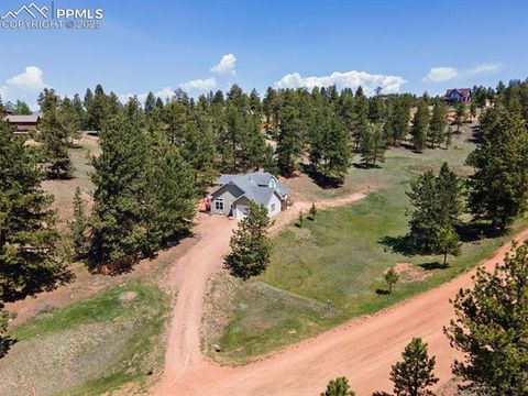 Tiny photo for 1563 Southpark Road, Florissant, CO 80816 (MLS # 2994628)