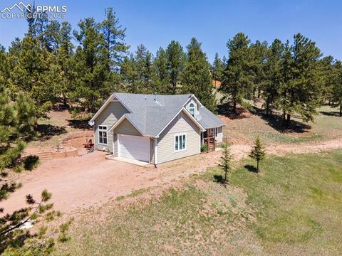 Tiny photo for 1563 Southpark Road, Florissant, CO 80816 (MLS # 2994628)