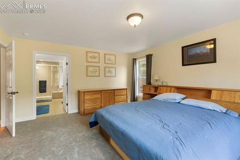Tiny photo for 1563 Southpark Road, Florissant, CO 80816 (MLS # 2994628)