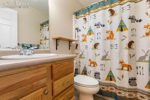 Tiny photo for 1563 Southpark Road, Florissant, CO 80816 (MLS # 2994628)