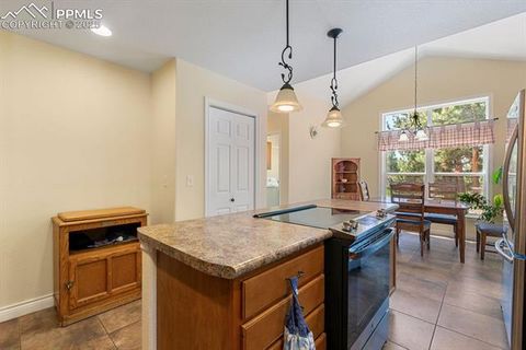 Tiny photo for 1563 Southpark Road, Florissant, CO 80816 (MLS # 2994628)