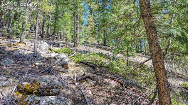 3075 N Mountain Estates Road