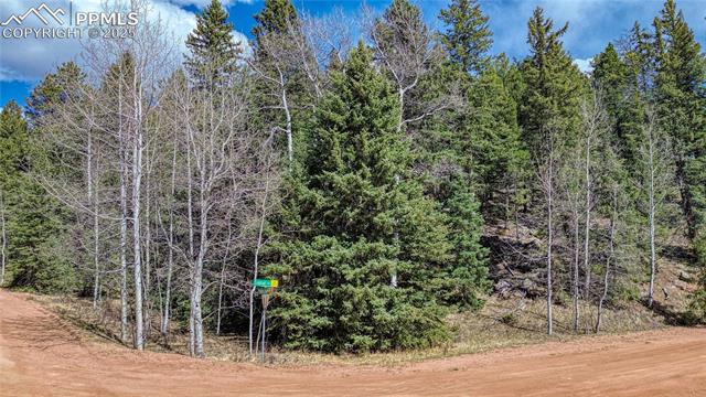 3075 N Mountain Estates Road