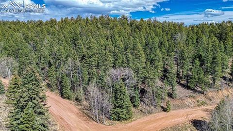 Photo of 3075 N Mountain Estates Road, Florissant, CO 80816 (MLS # 1287370)