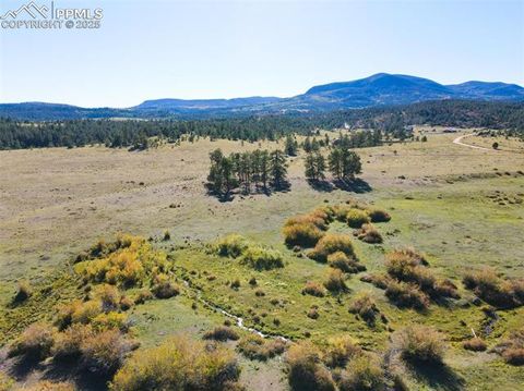 Photo of Rosebush Road, Canon City, CO 81212 (MLS # 9831071)