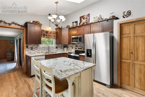 Tiny photo for 1010 W Bowman Avenue, Woodland Park, CO 80863 (MLS # 9210095)