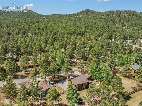 Tiny photo for 1010 W Bowman Avenue, Woodland Park, CO 80863 (MLS # 9210095)