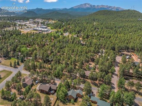 Tiny photo for 1010 W Bowman Avenue, Woodland Park, CO 80863 (MLS # 9210095)
