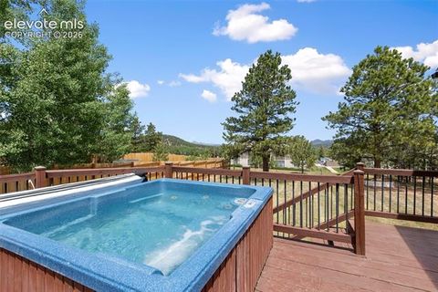 Tiny photo for 1010 W Bowman Avenue, Woodland Park, CO 80863 (MLS # 9210095)