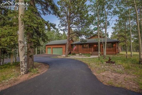 284 County Road 511 Divide CO 80814
