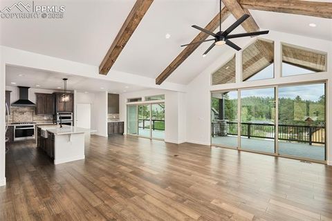 Tiny photo for 1415 Red Haven Place, Woodland Park, CO 80863 (MLS # 7524610)