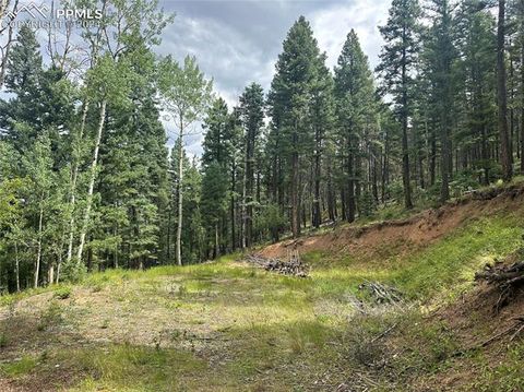 Photo of 272 Fern Valley Road, Manitou Springs, CO 80829 (MLS # 6398618)