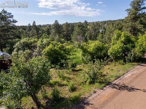 Photo of Buena Vista Avenue, Palmer Lake, CO 80133 (MLS # 1782156)