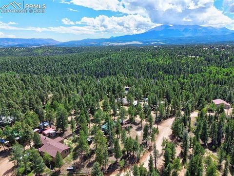 Tiny photo for 23 Narcissus Road, Woodland Park, CO 80863 (MLS # 7848846)
