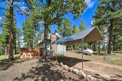 Tiny photo for 23 Narcissus Road, Woodland Park, CO 80863 (MLS # 7848846)