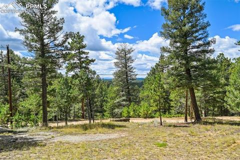 Tiny photo for 23 Narcissus Road, Woodland Park, CO 80863 (MLS # 7848846)