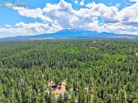Tiny photo for 23 Narcissus Road, Woodland Park, CO 80863 (MLS # 7848846)