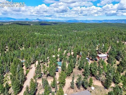 Tiny photo for 23 Narcissus Road, Woodland Park, CO 80863 (MLS # 7848846)
