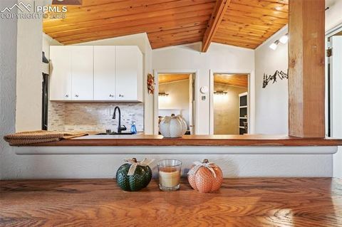 Tiny photo for 23 Narcissus Road, Woodland Park, CO 80863 (MLS # 7848846)