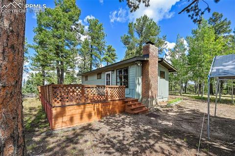 Tiny photo for 23 Narcissus Road, Woodland Park, CO 80863 (MLS # 7848846)