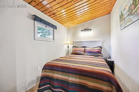 Tiny photo for 23 Narcissus Road, Woodland Park, CO 80863 (MLS # 7848846)