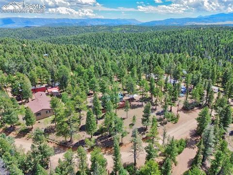 Tiny photo for 23 Narcissus Road, Woodland Park, CO 80863 (MLS # 7848846)