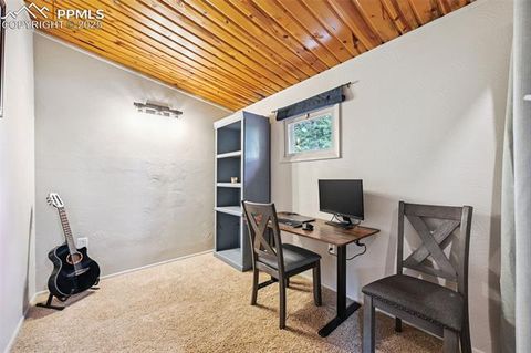 Tiny photo for 23 Narcissus Road, Woodland Park, CO 80863 (MLS # 7848846)
