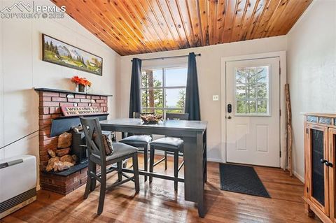 Tiny photo for 23 Narcissus Road, Woodland Park, CO 80863 (MLS # 7848846)