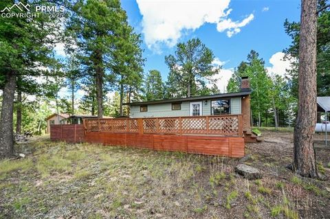 Photo of 23 Narcissus Road, Woodland Park, CO 80863 (MLS # 7848846)