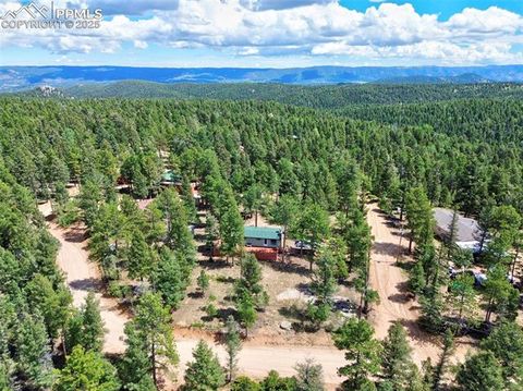 Tiny photo for 23 Narcissus Road, Woodland Park, CO 80863 (MLS # 7848846)