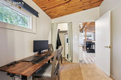 Tiny photo for 23 Narcissus Road, Woodland Park, CO 80863 (MLS # 7848846)