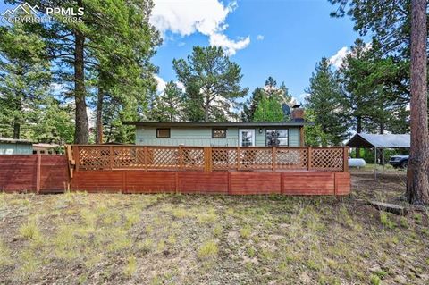 Tiny photo for 23 Narcissus Road, Woodland Park, CO 80863 (MLS # 7848846)